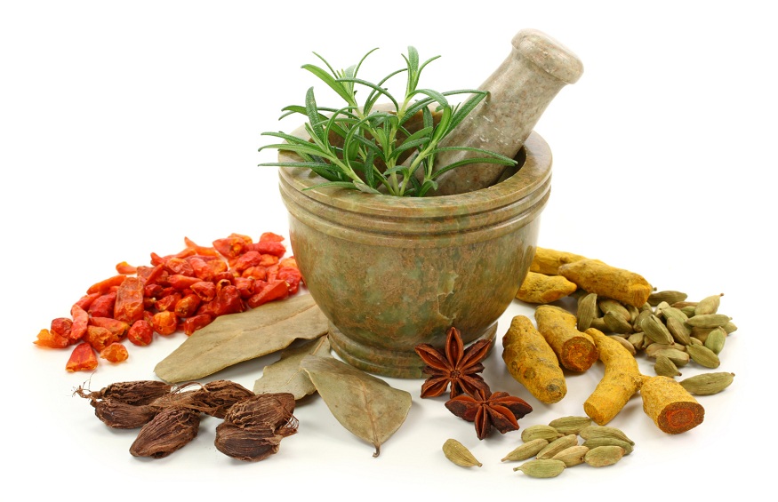 Ayurveda for Modern Health Problems: Pros and Cons